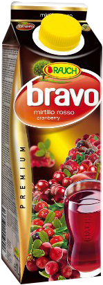 BRAVO BRIK SUCCO MIRTILLO ROSSO 1 LT