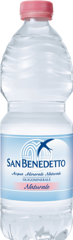 SAN BENEDETTO PET ACQUA NATURALE 500 ML