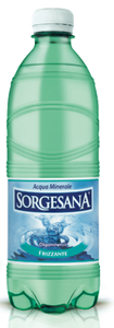 SORGESANA PET ACQUA FRIZZANTE 500 ML